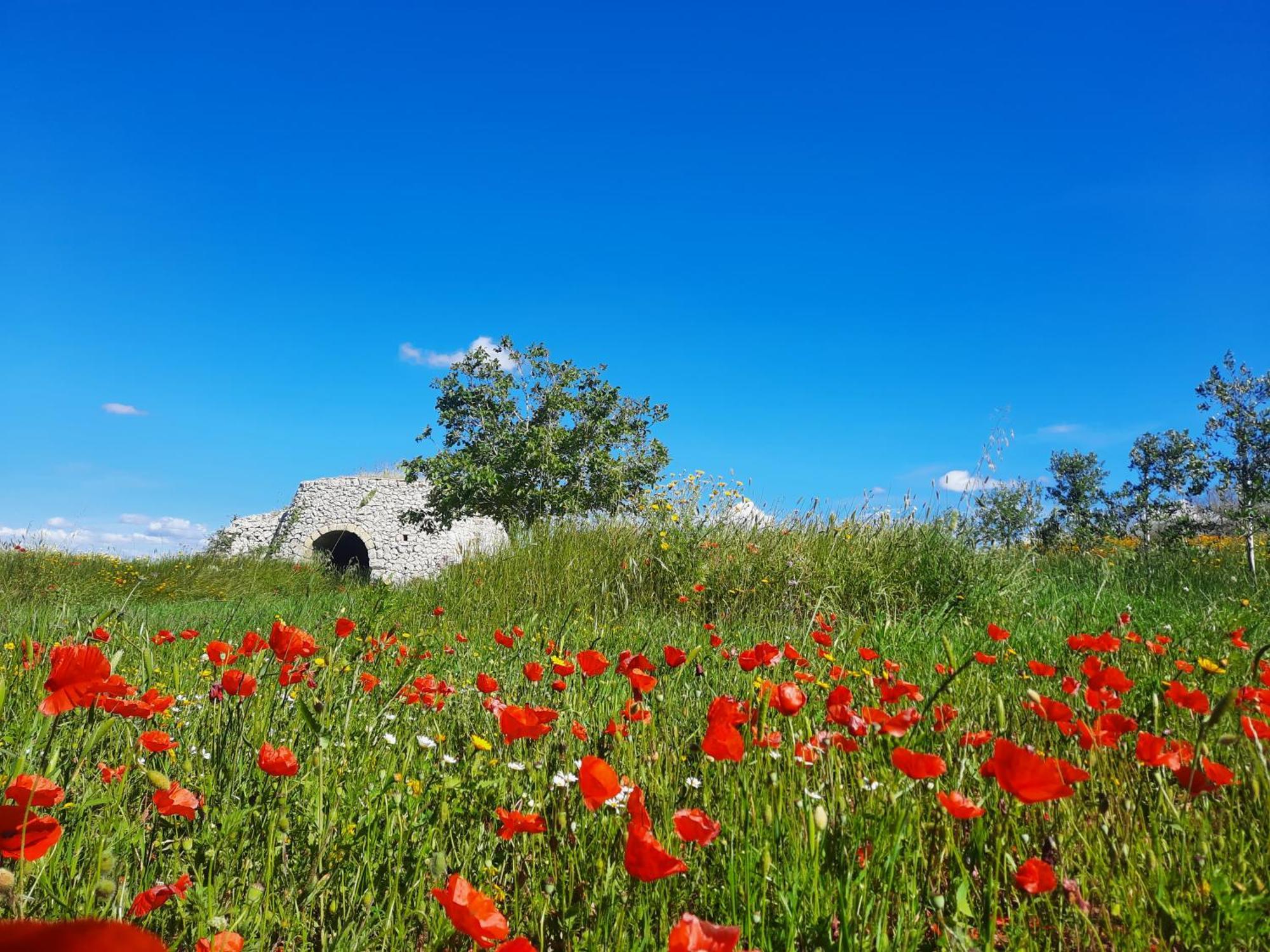 Versante Est Casamassella Esterno foto
